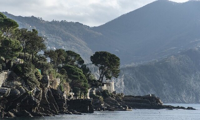 Ile kosztuje kamień polny?