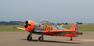 Jak nauczyć psa żeby nie ciągnął?