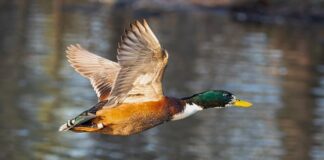 Jak wybrać wannę do małej łazienki?