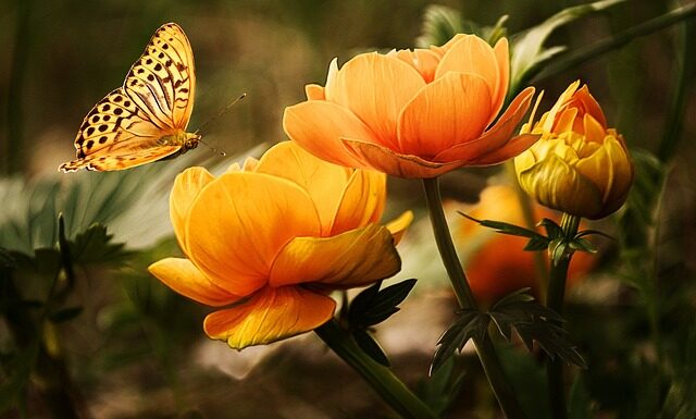 Jakie pH do mycia auta?