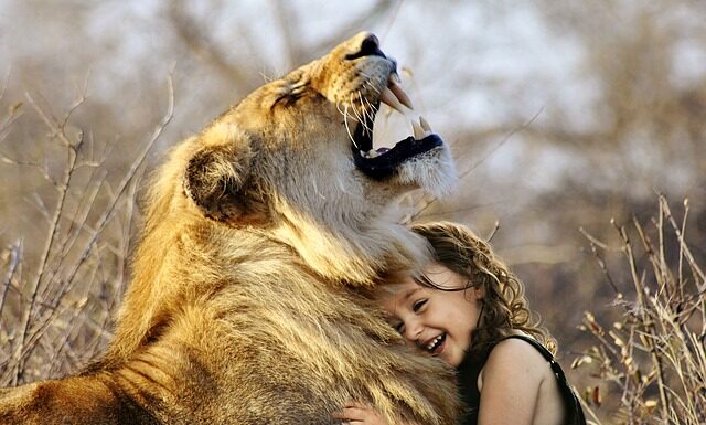 Jaka Ircha najlepsza?