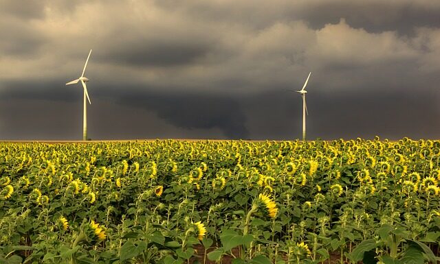 W jakiej kolejności podłączyć kable rozruchowe?