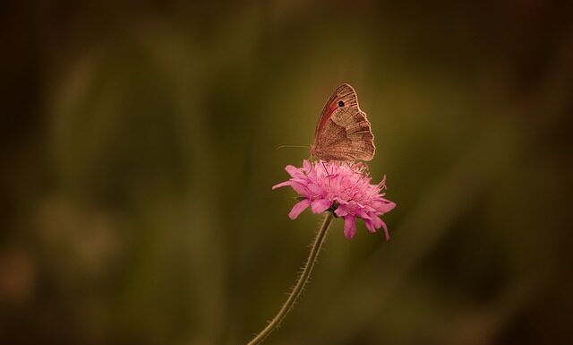 Jaka farba w sprayu na rdzę?