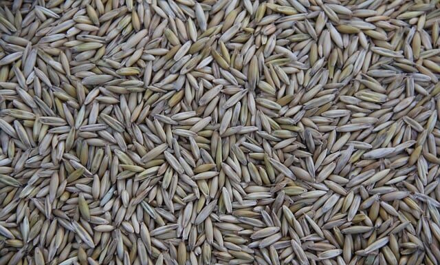 Gdzie jest produkowany Suzuki SX4 S Cross?