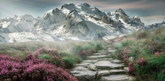 Czy wydalanie kamieni boli?