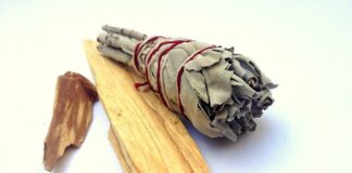 Jaki zapach ma Palo Santo?