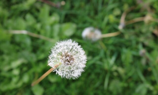 Co dać na neutralizator rdzy?