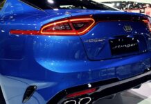 Co zamiast stingera?