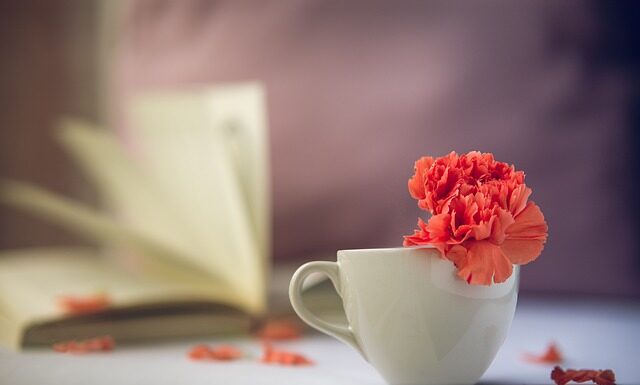 Jak sprawdzić jaki jest twój kamień?