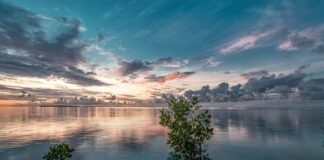 Jak wybrać narożnik do salonu?