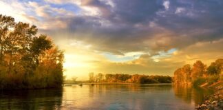 Jakie kolory kabli do lampy?