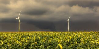 Jaka jest kolejność faz kolory?