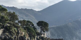 Ile kosztuje wymiana sprężyn w wersalce?