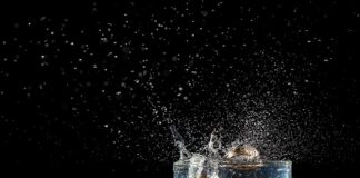 Czy w Adwencie można robić wesele?