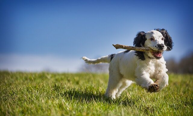 Jak odzyskać kolor samochodu?