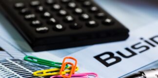 Jak się oblicza metr drzewa?