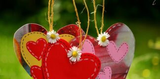 Czy przewód neutralny to minus?