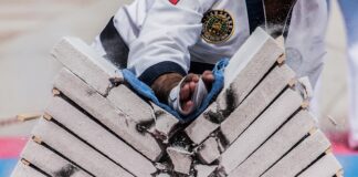 Kto jest właścicielem Action?