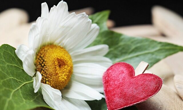 Co zrobić jak trzyma zacisk hamulcowy?