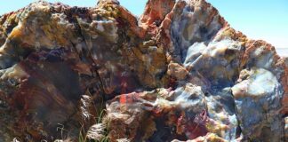 Ile kosztuje Silikonowanie kabiny prysznicowej?