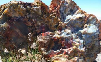 Ile kosztuje Silikonowanie kabiny prysznicowej?