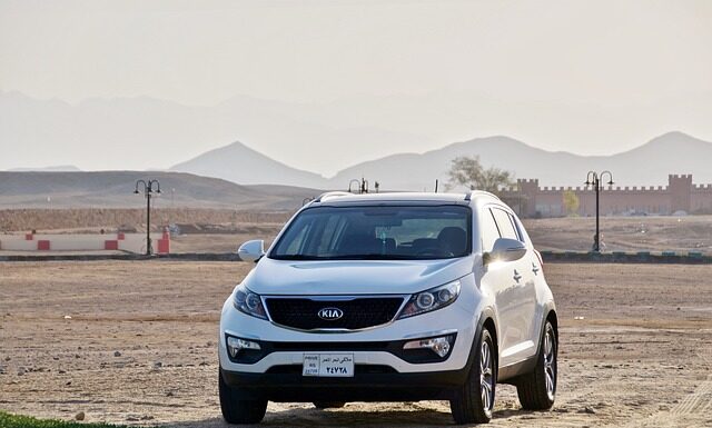 Ile sprzedano Kia Stinger?