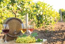 Dlaczego warto spróbować win z polskich winnic