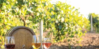 Dlaczego warto spróbować win z polskich winnic