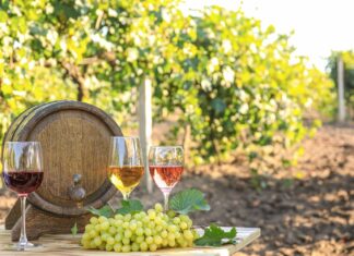Dlaczego warto spróbować win z polskich winnic